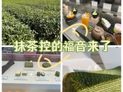 -雪绿茶博物馆