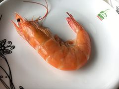 -天鹰观渔(梦园店)