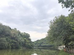 -李小龙乐园(顺德均安店)