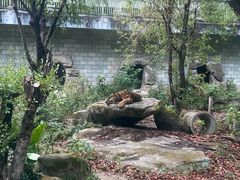 -福州动物园
