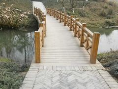 -桤木河湿地公园