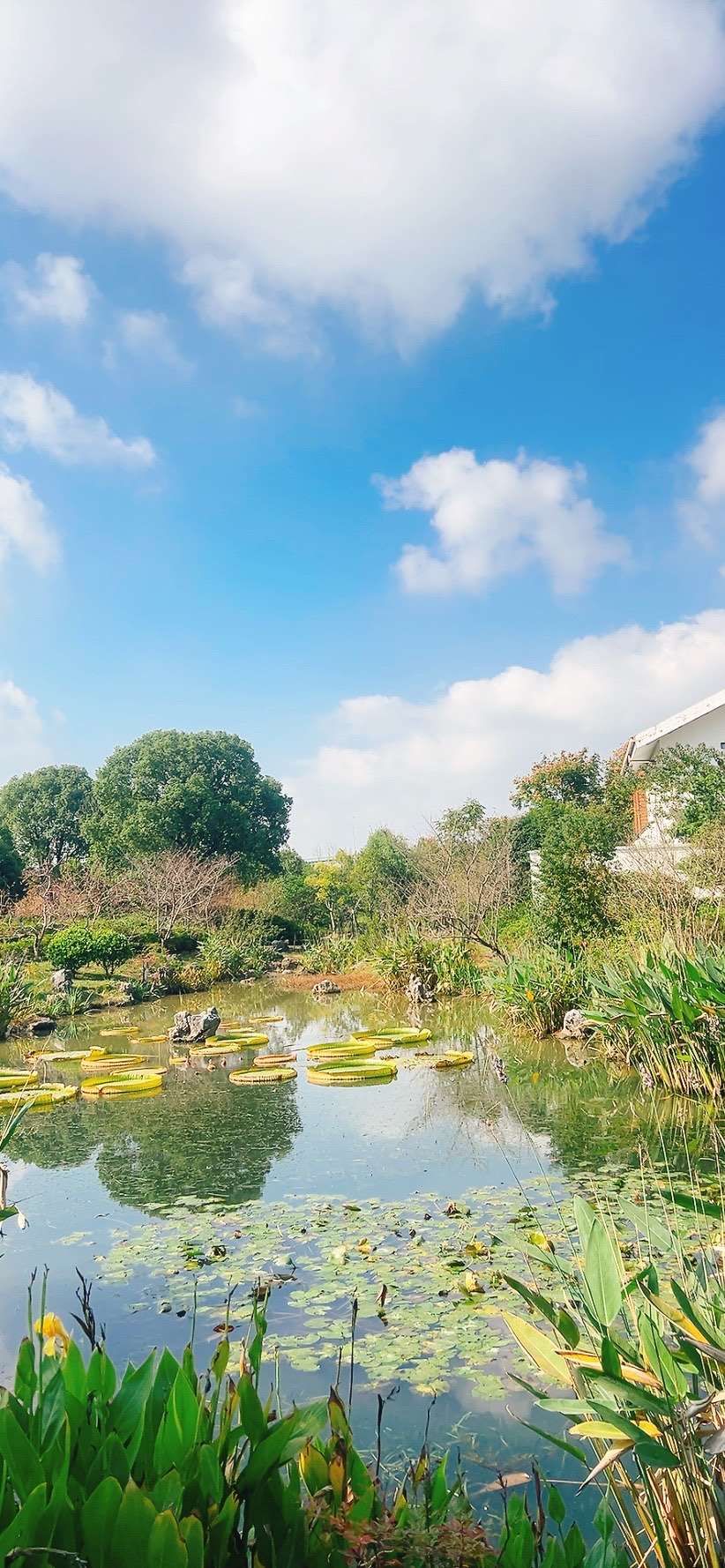 宁波植物园景点介绍图片