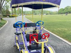 -昆山城市生态森林公园