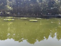 -庐山风景区花径公园