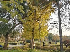 -洛阳市隋唐城遗址植物园