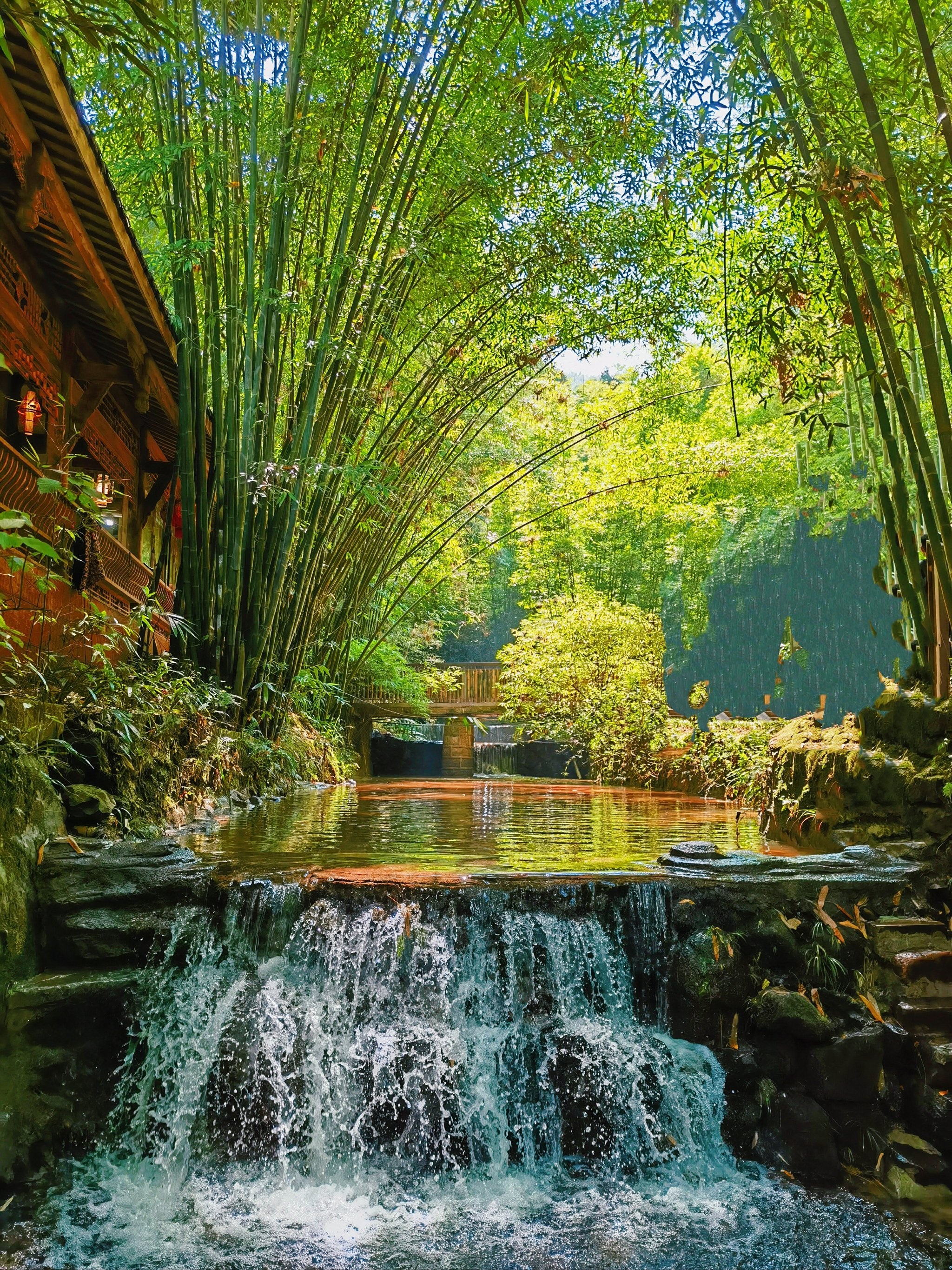 蜀南竹海风景图图片