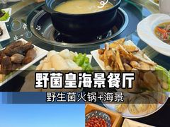 -野菌皇海景野生菌火锅(滨海大道店)