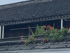 -鸣鹤古镇
