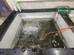 -山城家常菜铁锅炖鱼
