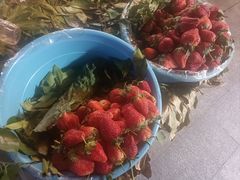 -宋记冕宁土菜馆(海门渔村二店)