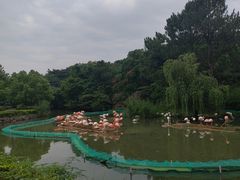 -宁波野生动物园