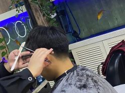 -东方美妍