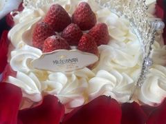 -维尔纳斯·生日蛋糕·动物奶油冰淇淋蛋糕(六里桥店)