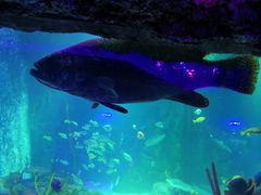 -沈阳海洋探索中心