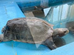 -青藏高原野生动物园