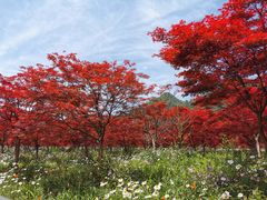 -云漫湖生态度假公园