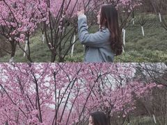 -重庆彩云湖湿地公园