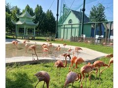 -秦皇岛野生动物园