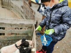 -前小桔亲子创意农场·草莓采摘·露营烧烤