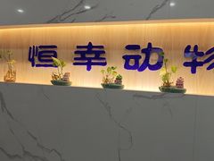 -恒幸动物医院·急重症转诊中心·神经内外科·CT核磁
