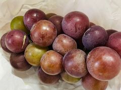 -马陆小张葡萄园农家乐