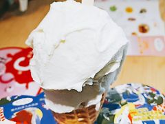 -野人先生现做冰淇淋(北京顺义祥云小镇店)