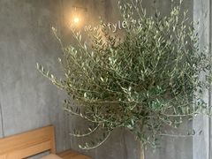 -喜茶(上海打浦桥日月光gelato lab+店)