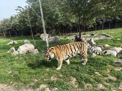 -西安秦岭野生动物园