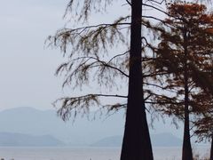 -四明湖