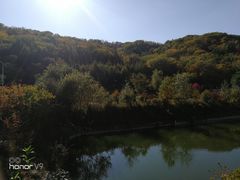 -参仙谷生态旅游度假区
