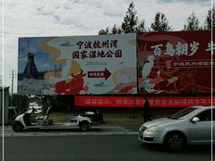 -宁波杭州湾国家湿地公园