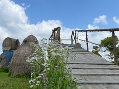 -上海都市菜园