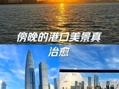 -深圳湾公园(南山区)