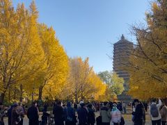 -玲珑塔公园