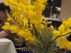 -COVA(新天地Xintiandi店)
