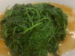 -梅龙镇酒家(南京西路总店)