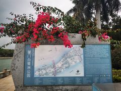 -白鹭洲公园