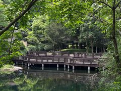 -天明山温泉大酒店
