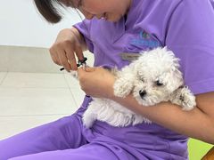 -北京观赏动物医院·24小时大型综合·猫专科·异宠专科