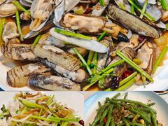 -三合园水饺(二马路店)