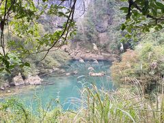 -香桥岩溶国家地质公园