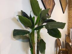 -南木湾·孔雀宴手抓饭·傣味餐厅