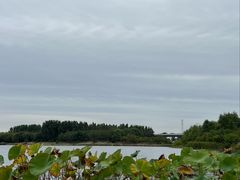 -丁香湖公园