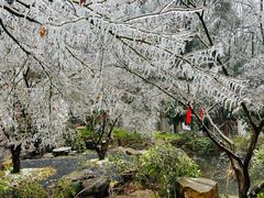 -岳麓山风景名胜区