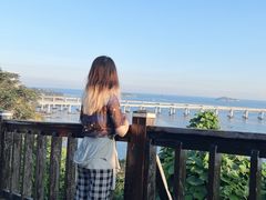 -星海湾跨海大桥