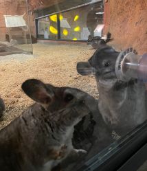 -酷嗒动物文化乐园(cutezoo西溪乐天城店)