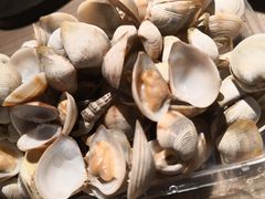 -红树林天天赶海