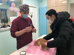 -北京观赏动物医院·24小时大型综合·猫专科·异宠专科