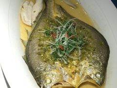 雪菜蒸野生大黄鱼-麟1929(外滩店)