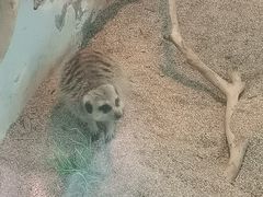 -无锡动物园·太湖欢乐园